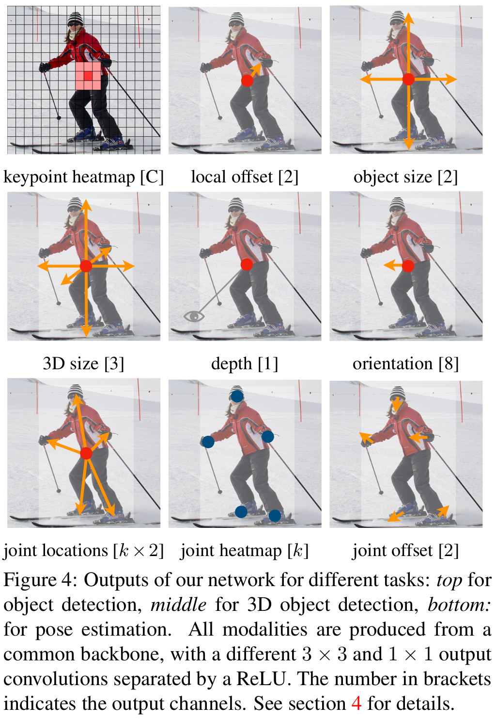 Visualization of different modalities.